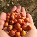 @malik__bahi
