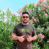 bullateking