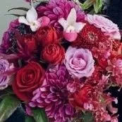majo.neco