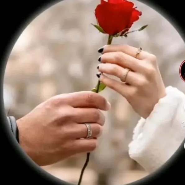 @ayselkazimova