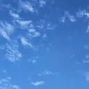 @sky789350