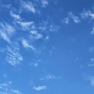 sky789350