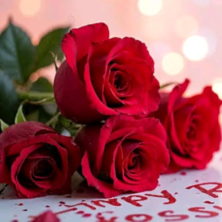 @zehra.4527