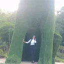 @user321140937