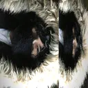 @ohavyx