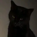 @6zlx1z
