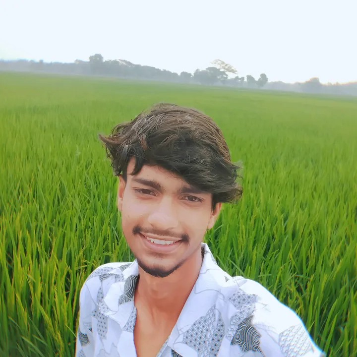 user5121381014248
