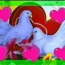 @ebrahim42052