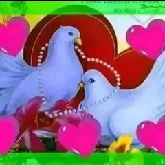 ebrahim42052