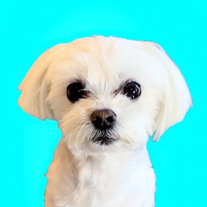 littlesophiekisses
