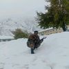 kvp36shanirson