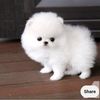 sowjanya7780