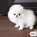 @sowjanya7780