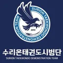 @surion_tkd_demo_team