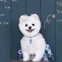 @xo_hari_