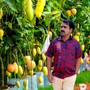 @mohanraoganapa29