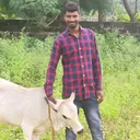 @srinivaspesari1995