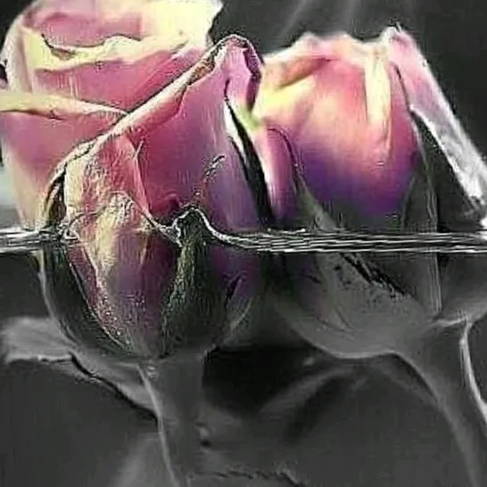 @purviparmar36