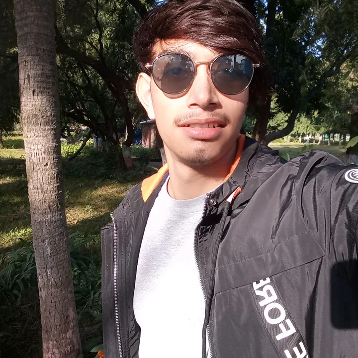 @dineshjoshi207