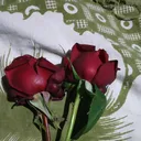 @31800924537