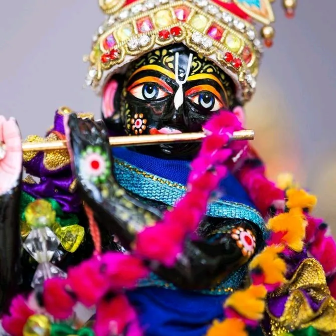 @vaishalirohila96