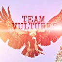 @teamvultures786