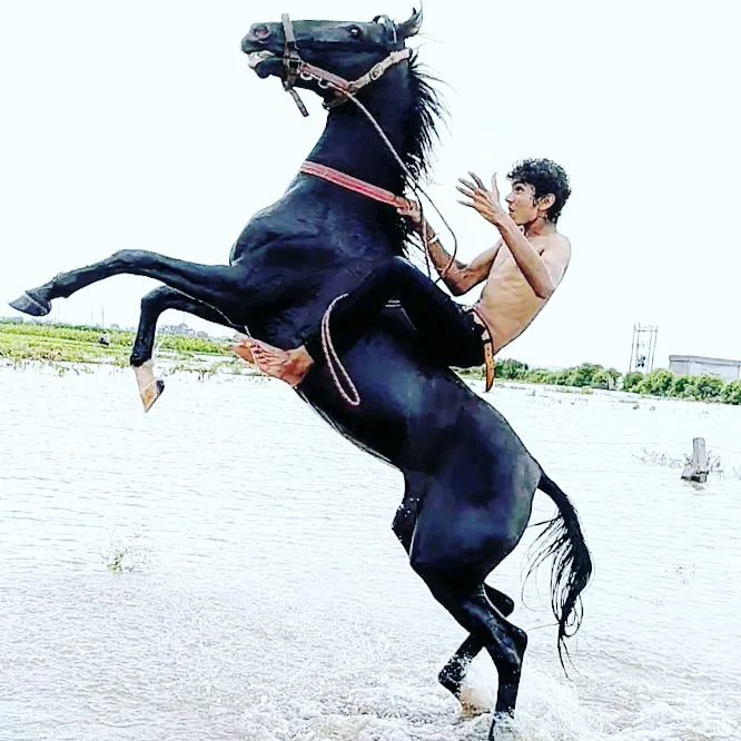 rakeshbharvad00