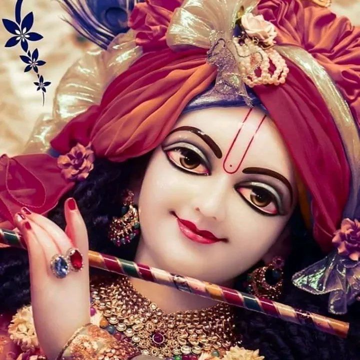 @shreedharkumbhkar