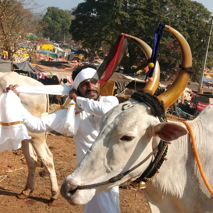 ಮಣ್ಣಿನಮಗರವಿ