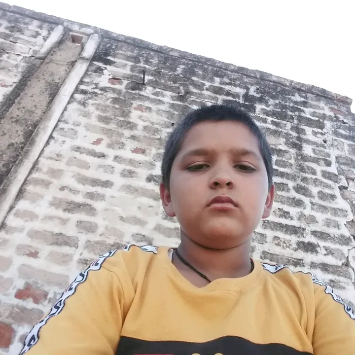@vinayparoda1
