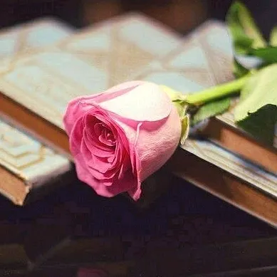 @sonalipriyadarshini143