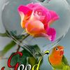 user031200541