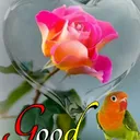 @user031200541