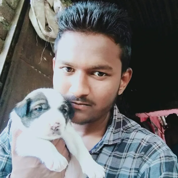 @pavanlalsare