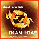 @billysketsa_ikanhias