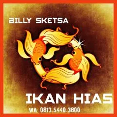 @billysketsa_ikanhias