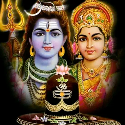 @rekha3rout