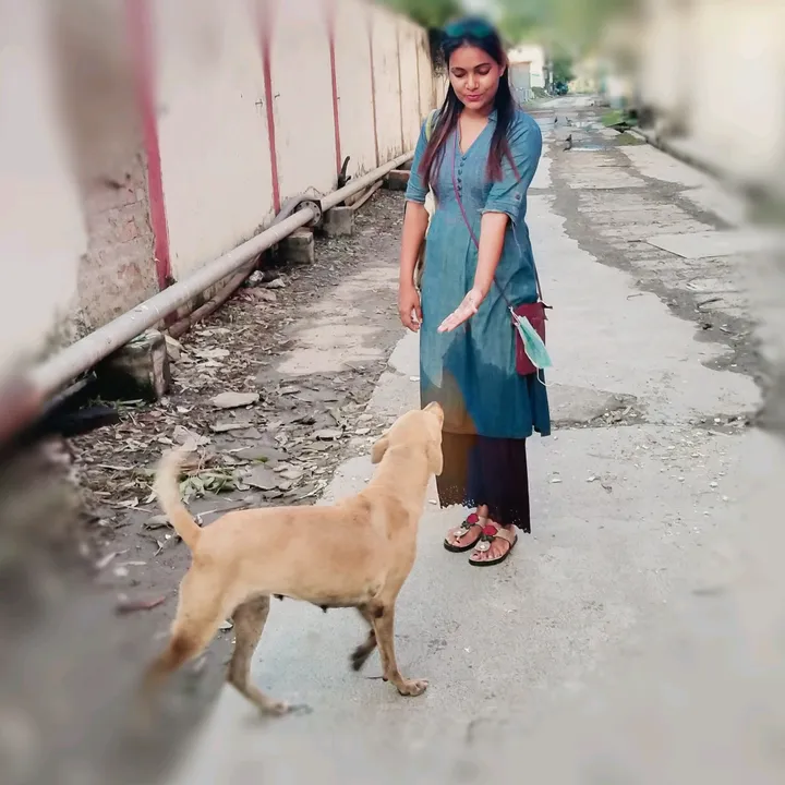 sonachawdhari1234