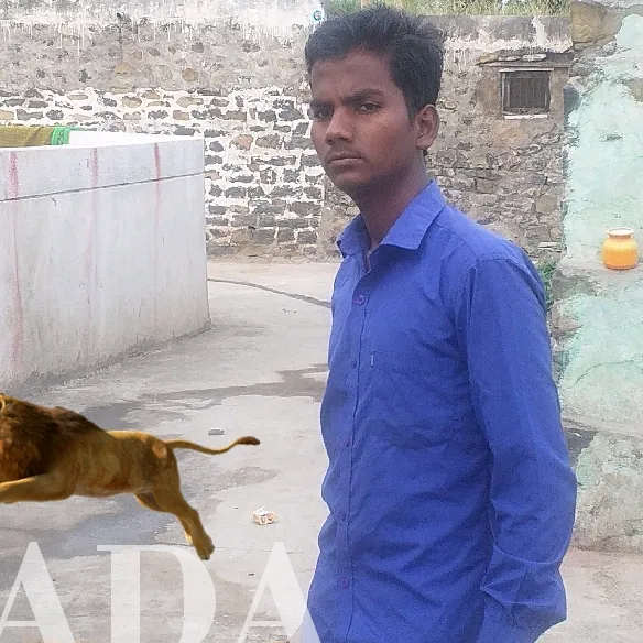 @prabhakarsinge80