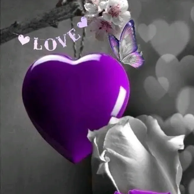 miss_dipa1
