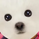 @wan1waaaan