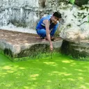 @mukeshsoni4981