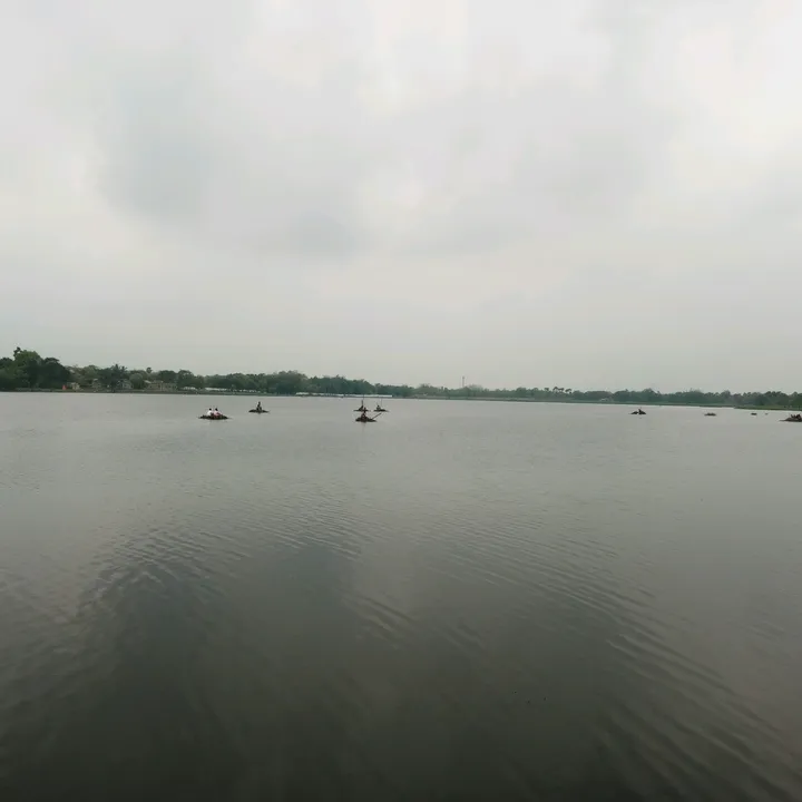 tiku50