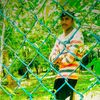 basurajbasuraj0