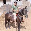 natwarsingh66