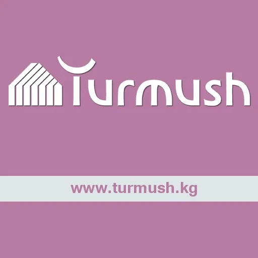 turmush.kg_