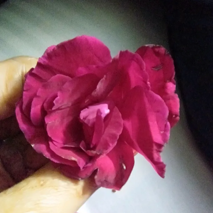 mahimashudhkumar
