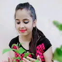 @pallavijha