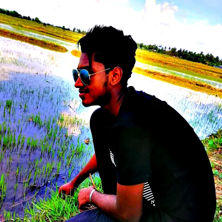 @shihabshuhil449