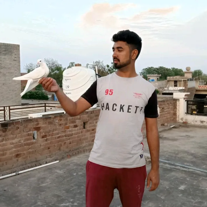 abduljameel48
